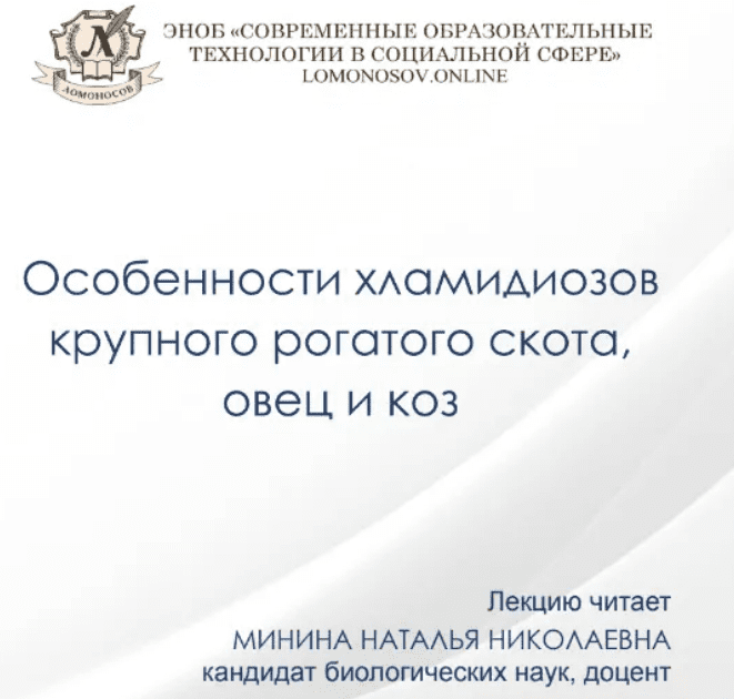 1708792990705