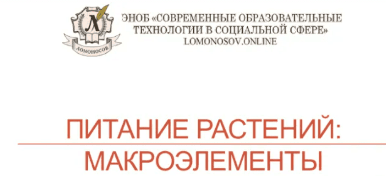 1709087637335