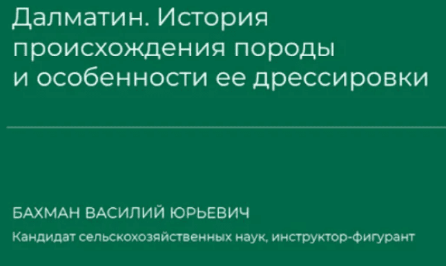 1709087738378