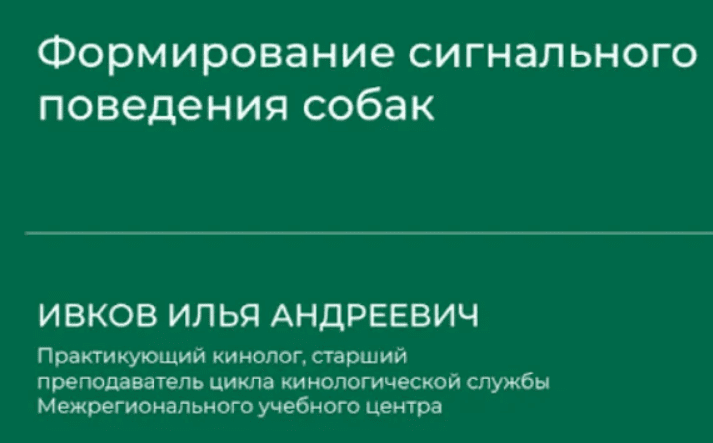 1709087828775