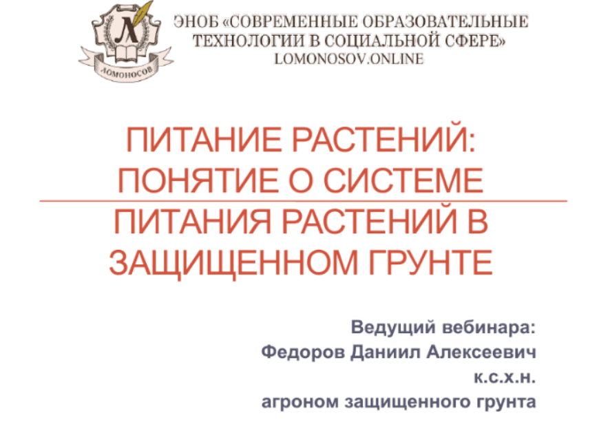 1709088061219
