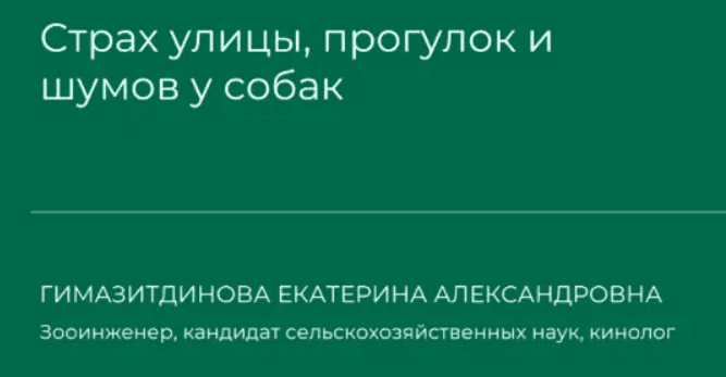 1709088928874