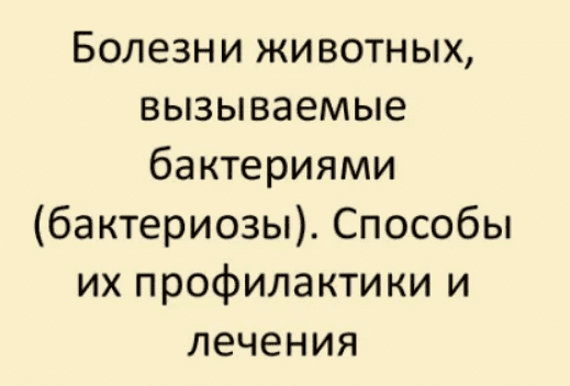 1709202986189