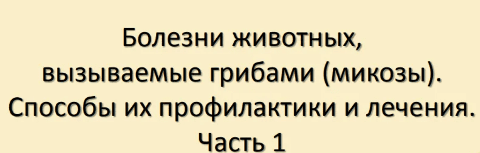 1709204000137