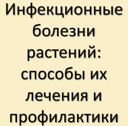 1709205150838