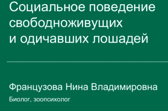 1714249712282
