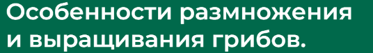 1714250528952