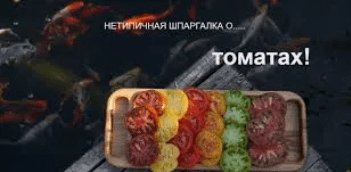 1715639476954