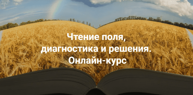 1715721836446