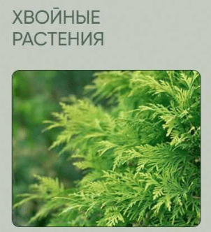 1715976161314