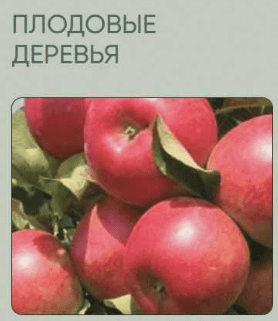 1715976767899