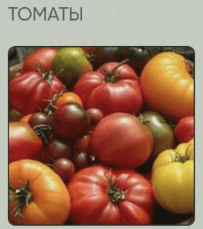1716058982734