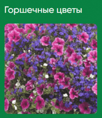 1716059637499