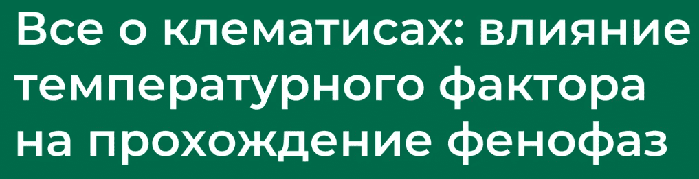 1717167073073