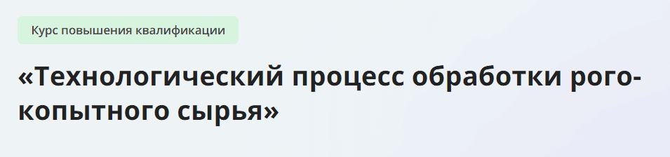 1729538858201