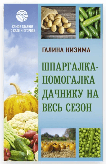 1735593678538