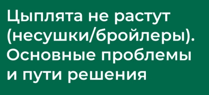 1736896485030