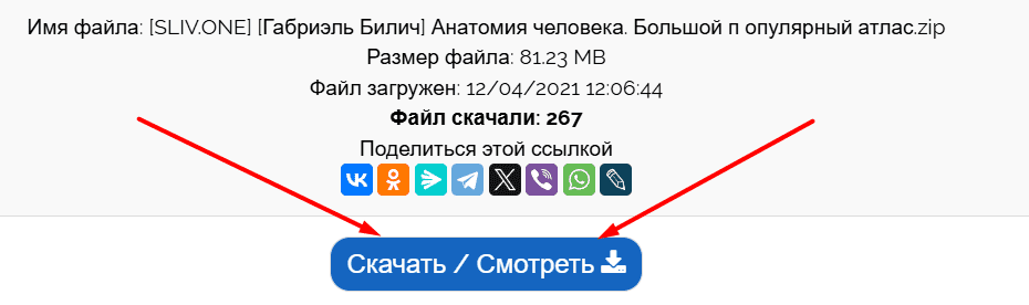 1745924261536