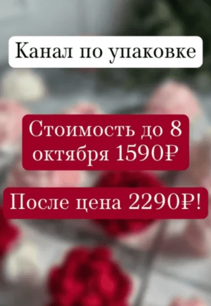 1756204616881