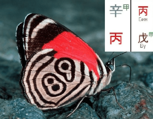 1756749133688