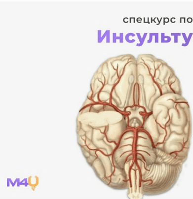 1758201504991