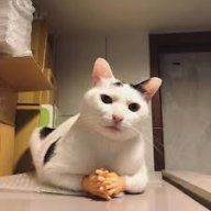 Катик